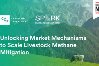 Unlocking Market Mechanisms to Scale Livestock Methane Mitigation