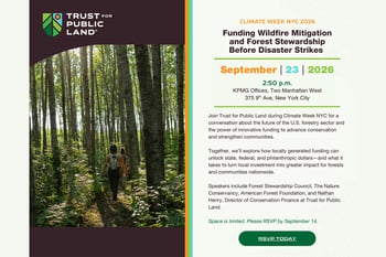 Financing the Future of America’s Forests: Building Durable Funding for Wildfire Resilience, Climate, and Community Benefit​