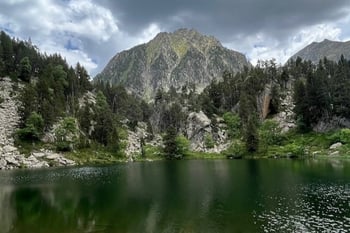 Nature and Climate Listening Circle: How Nature and Climate live in us and guide our work