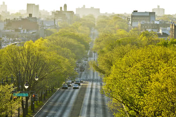Beyond Planting Trees: Designing the Urban Forest as Climate Infrastructure Designing, Funding, and Caring for NYC’s Living Infrastructure