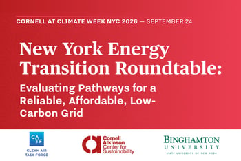 New York Energy Transition Roundtable: Evaluating Pathways for a Reliable, Affordable, Low-Carbon Grid