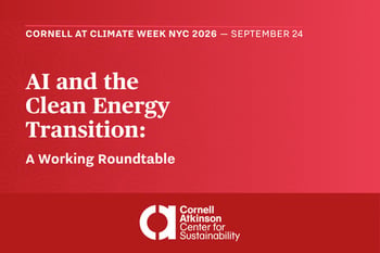 AI and the Clean Energy Transition: A Working Roundtable