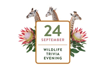 Wildlife Trivia with Wild Tomorrow