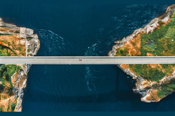 From Insights to Action: Mainstreaming Nature-Positive Engineering Through Global Collaboration