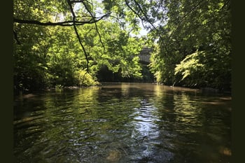 Climate Week NYC Documentary Screening: River Restoration & Climate Resilience