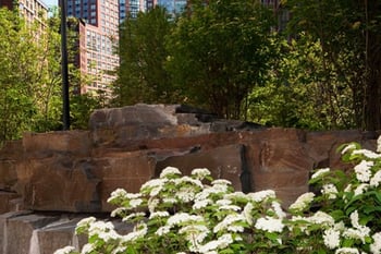 Forest Bathing for Climate