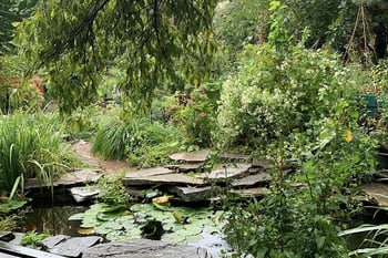 Climate Innovation, Sustainability & Community Garden Tours with LUNGS
