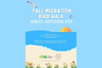 Fall Migration Bird Walk along Rockaway Beach