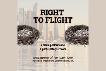 Right to Flight: A Public Performance & Participatory Artwork