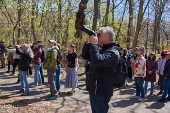 Climate Week: Guided Birding tour at Governors Island Park
