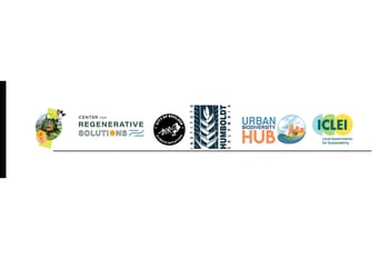 Nature as Critical Climate Infrastructure: Launching a New Approach to Scaling Urban Nature-based Solutions in Cities