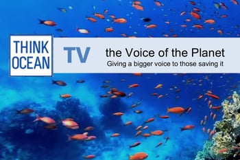 THE VOICE OF THE PLANET: Giving people protecting our planet a bigger voice