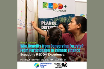 Who Benefits from Conserving Forests? Ecuador’s REDD+ Experience