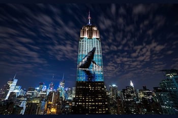  Endangered New York: Protecting Wild Animals in a Changing Climate 