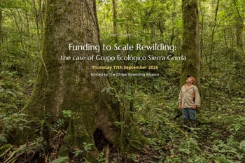 Funding to Scale Rewilding: the case of Grupo Ecológico Sierra Gorda in Mexico