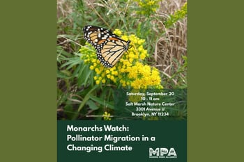 Monarchs Watch: Pollinator Migration in a Changing Climate
