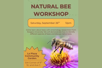 Natural Bee Workshop