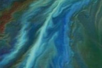 The Potential Role of the Biodiversity Beyond National Jurisdiction Treaty in Governing Marine Carbon Dioxide Removal