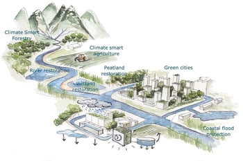 Financing Nature-based Solutions: Insights from CDFI Policy and Practice