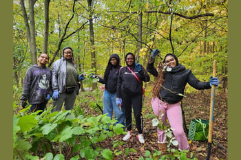 Jones Woods Park Forest Restoration