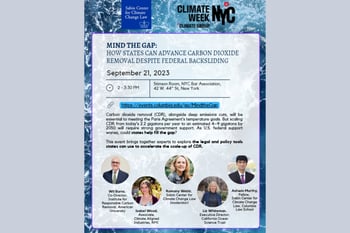 Mind the Gap: How States Can Advance Carbon Dioxide Removal Despite Federal Backsliding