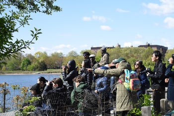 Climate Week: Birdwalk at Marine Park