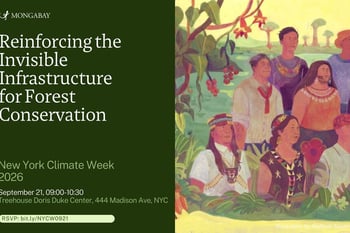 Reinforcing the Invisible Infrastructure for Forest Conservation