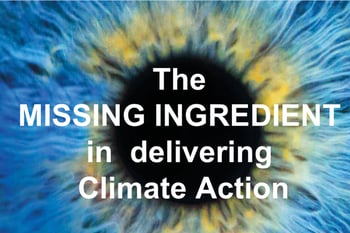 The Missing ingredient in delivering Climate Action - The Courage Toolkit