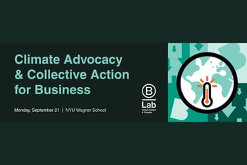 Climate Advocacy & Collective Action for Business