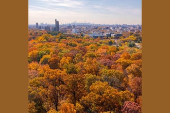 Cities as Climate Catalysts: Science-Driven Solutions for People and Nature