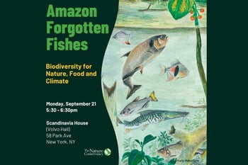 Amazon Forgotten Fishes: Biodiversity for Nature, Food, and Climate