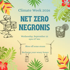Net Zero Negronis