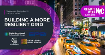 Building a More Resilient Grid: U.S. and Global Perspectives on Extreme Weather, Energy Resilience, and Wildfire Mitigation