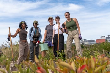 Resilience Rising at Rockaways: Restoring Coastlines with RISE and Surfrider for NYC Climate Week
