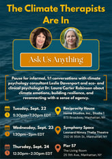 Ask Us Anything: The Climate Therapists Are In