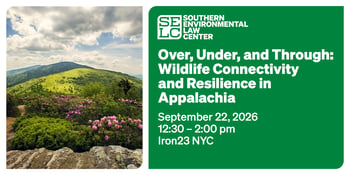 Over, Under, and Through: Wildlife Connectivity and Resilience in Appalachia