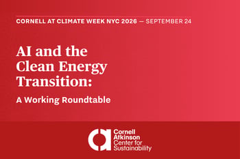 AI and the Clean Energy Transition: A Working Roundtable