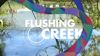 Daylighting our future/ towards a radical field station and unburied waters in Queens!