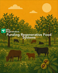 Why Regenerative: Funding Regenerative Food Systems