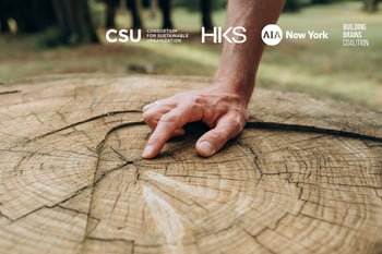 Regenerative Design – Embracing a New/Old Mindset
