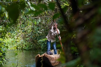 Financing Forests in the New Development Landscape