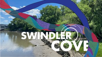 Come to the Cove! Celebrating the hidden wetland and woods along the Harlem River