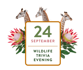 Wildlife Trivia with Wild Tomorrow