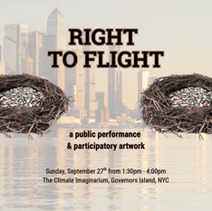 Right to Flight: A Public Performance & Participatory Artwork