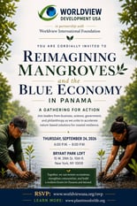 Reimagining Mangroves and the Blue Economy in Panama