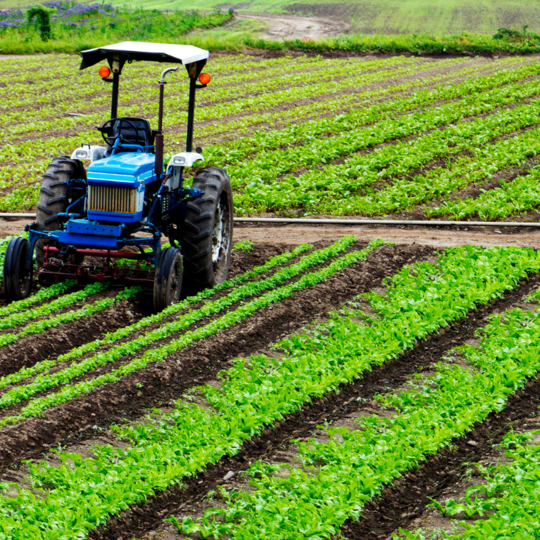 Agriculture_0