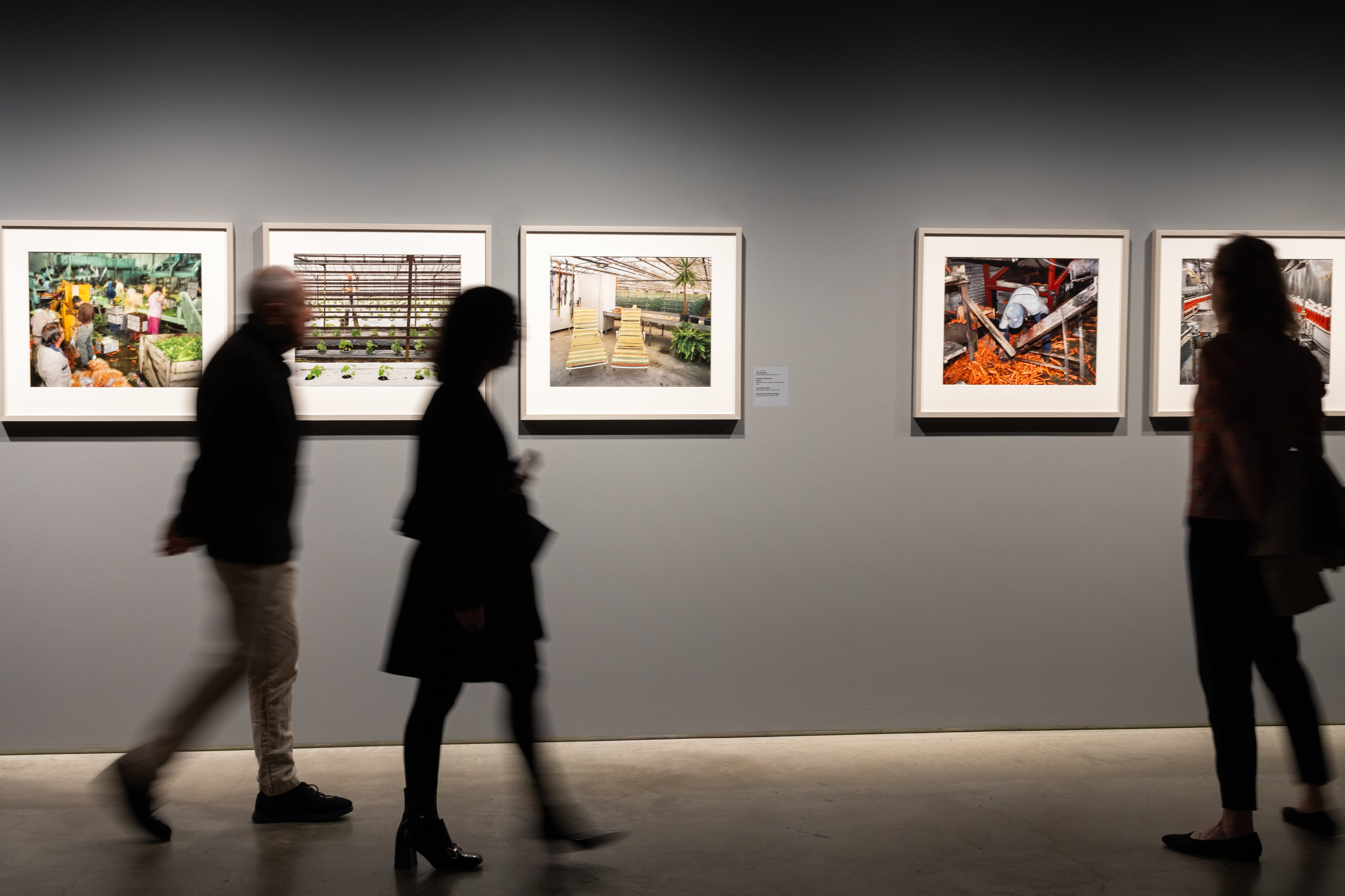 Climate Change and the Image – what can we do?