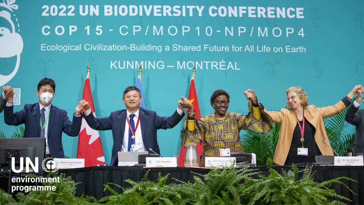 COP15