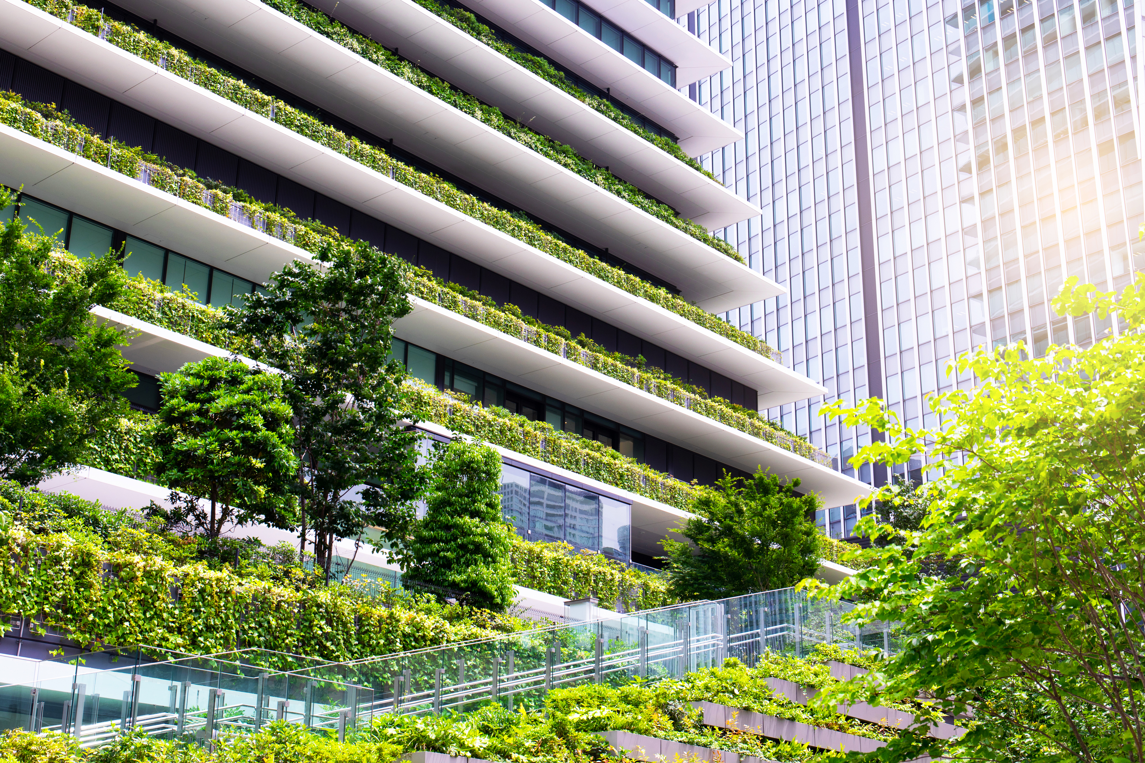 Net zero: A bold and worthy goal, but now it’s time to deliver