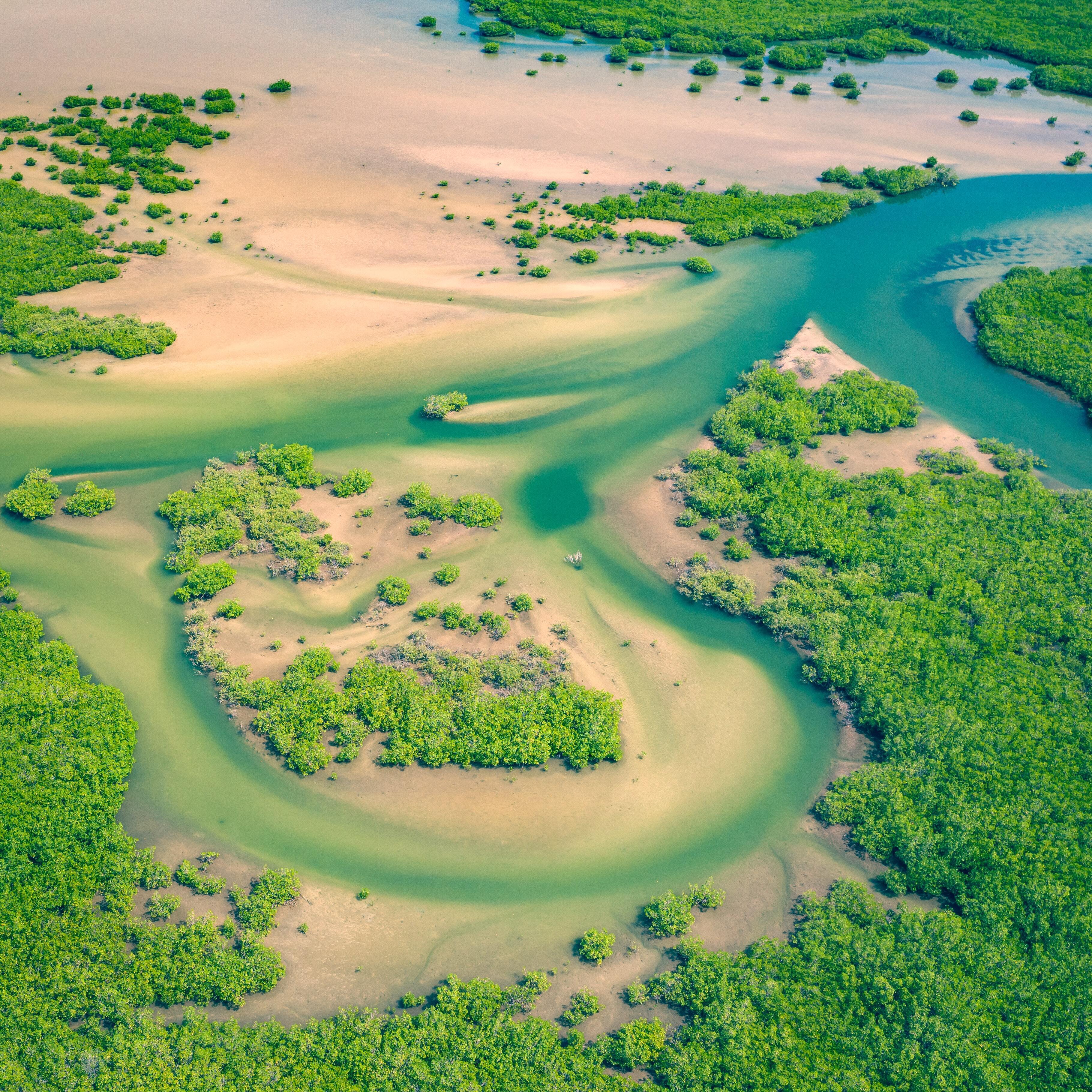 It’s critical, not controversial: Why we must double-down on nature investments